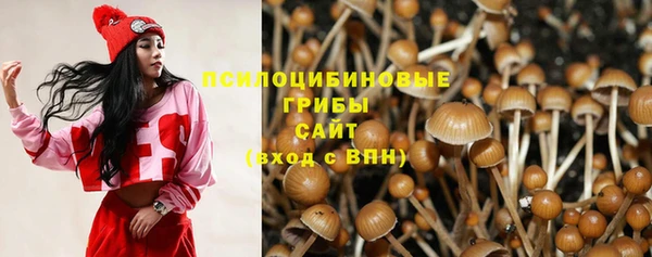 а пвп мука Лиски