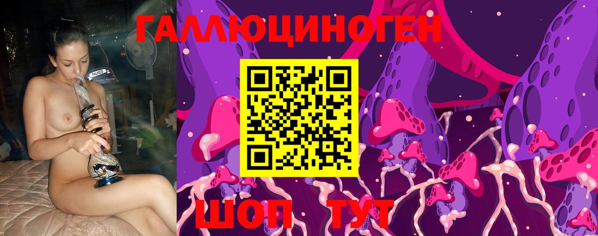 Карасук  наркота  Вход с VPN  Псилоцибиновые грибы Psilocybine cubensis 